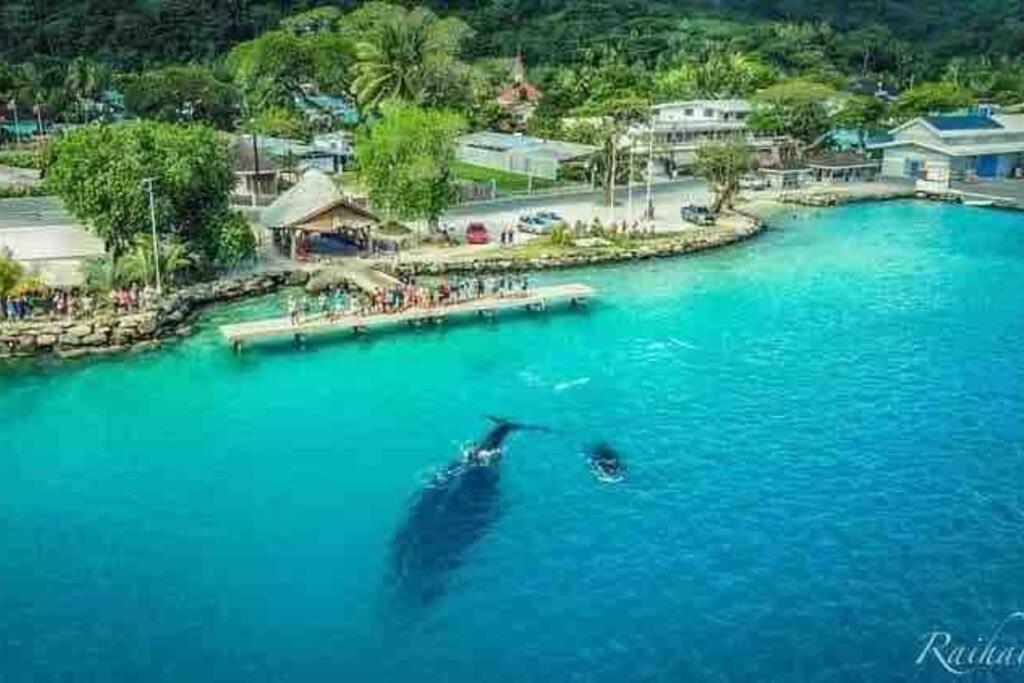 Meri Lodge Huahine 파레 외부 사진